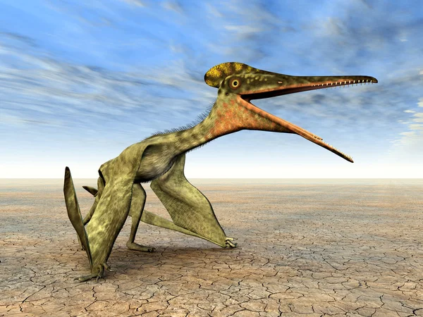 Pterosaur Pterodactylus — Φωτογραφία Αρχείου