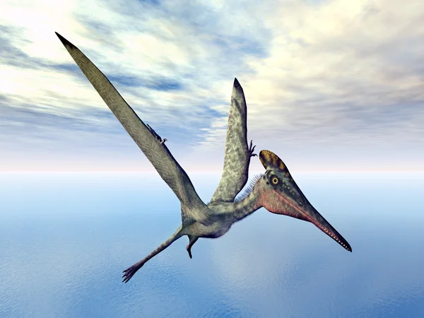 Pterosaurio Pterodactylus —  Fotos de Stock