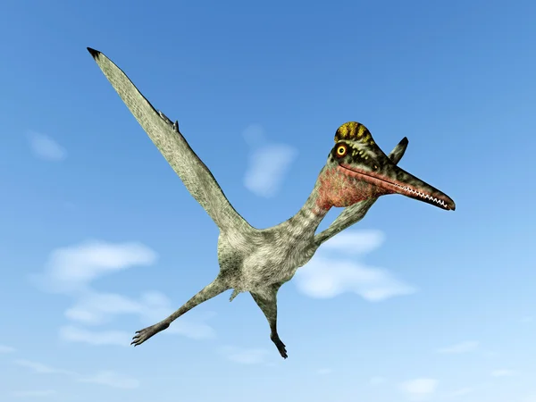 Pterosaur Pterodactylus — стокове фото