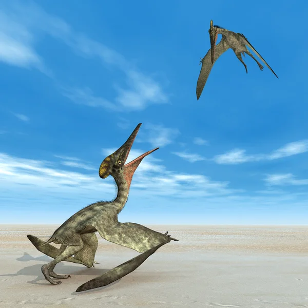 Pterosaur Pterodactylus — Stok fotoğraf