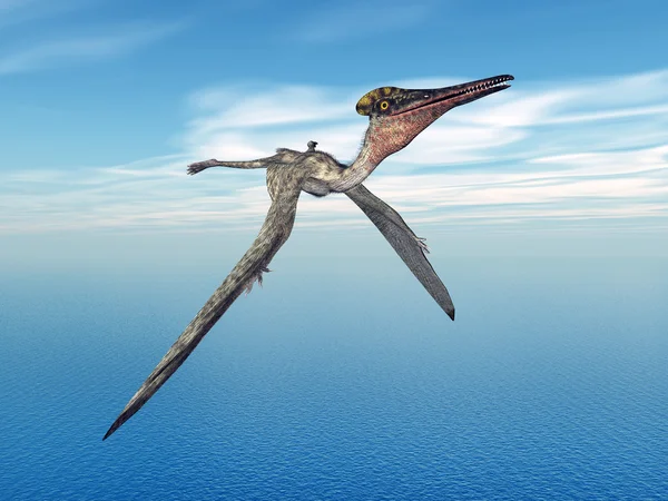 Pterossauro Pterodáctilo — Fotografia de Stock