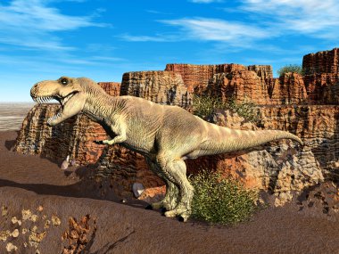 Tyrannosaurus rex