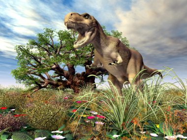 Tyrannosaurus rex