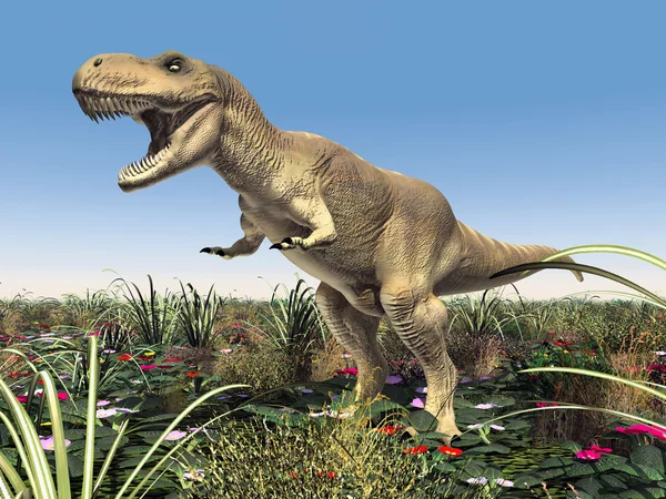 Tirannosauro rex — Foto Stock