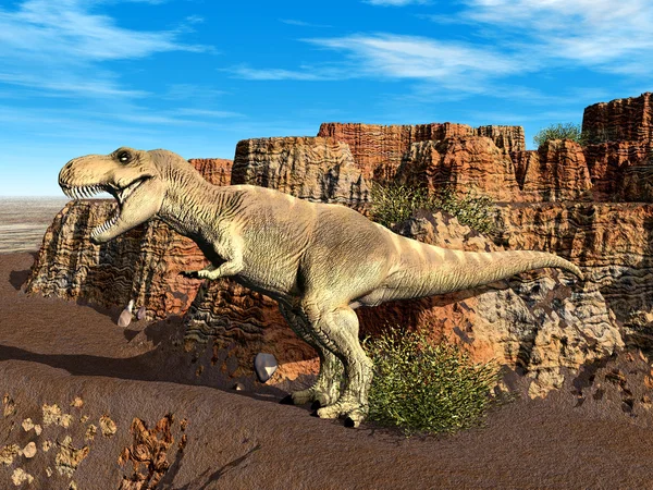 Tirannosauro rex — Foto Stock