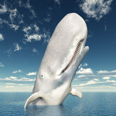 Sperm Whale clipart