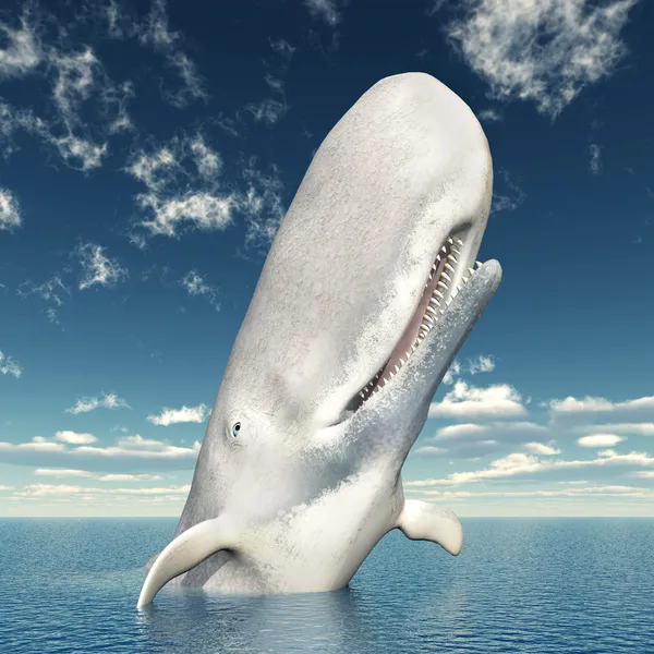 Sperm Whale — Stock Photo, Image