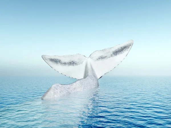 一头抹香鲸的尾鳍 — 图库照片