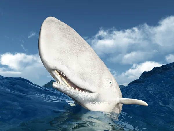 Sperm Whale — Stock Photo, Image