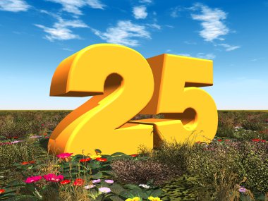 Sayı 25