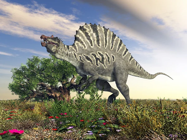 Dinoszaurusz spinosaurus — Stock Fotó