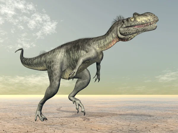 Dinosaurie megalosaurus — Stockfoto