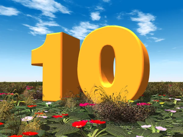 O número 10 — Fotografia de Stock