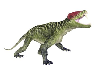Doliosauriscus