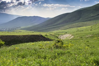 takma landscipe