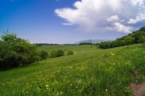 Paisaje verano — Foto de Stock