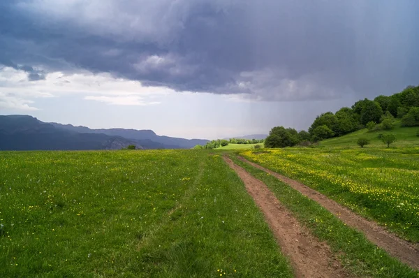 stock image Summer landscape