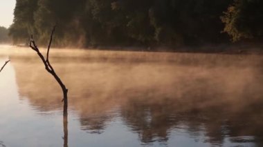 Sis şafak vakti nehre yayılır, turuncu ışık. Sudaki ağaç
