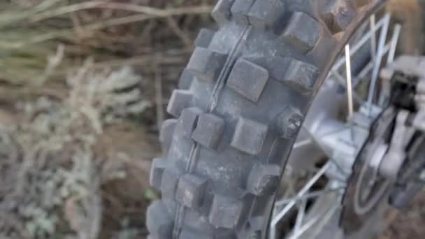 Motosiklet Arka Tekerleği Manzarası Yüksek Sarı Çimenli — Stok video