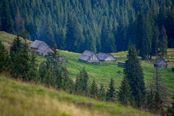 Casas Prado Las Montañas Entre Los Árboles Humo Estufa — Foto de Stock