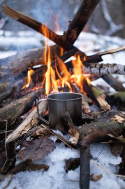 Bir kupa karlı bir ormanda ateşin yanında duruyor.