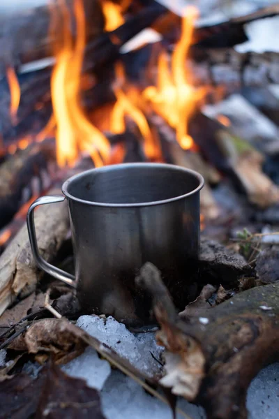 Bir kupa karlı bir ormanda ateşin yanında duruyor.