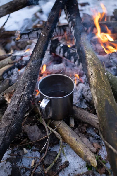 Bir kupa karlı bir ormanda ateşin yanında duruyor.