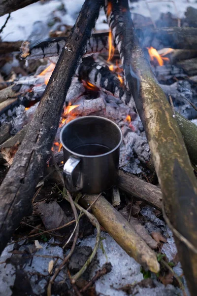 Bir kupa karlı bir ormanda ateşin yanında duruyor.
