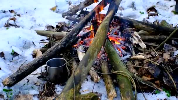 Une Tasse Tient Sur Bois Près Feu Dans Une Forêt — Video