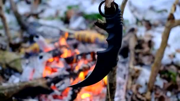 Coltello Karambit Sul Ramo Fronte Falò Nella Foresta Innevata Scura — Video Stock