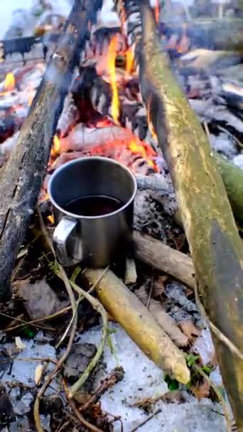 雪の森の火の近くの森の上にマグカップが立っています — ストック動画