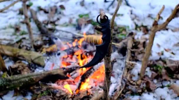 Karambit Knife Branch Front Bonfire Dark Snowy Forest — Video Stock