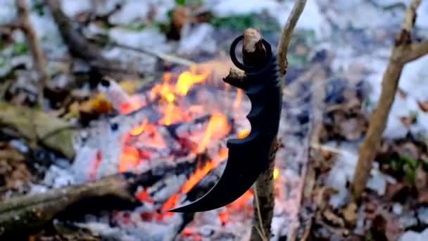 Karambit Nůž Větev Před Ohněm Tmavém Zasněženém Lese — Stock video