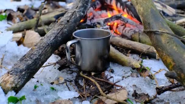 Een Mok Staat Het Bos Bij Een Vuur Een Besneeuwd — Stockvideo