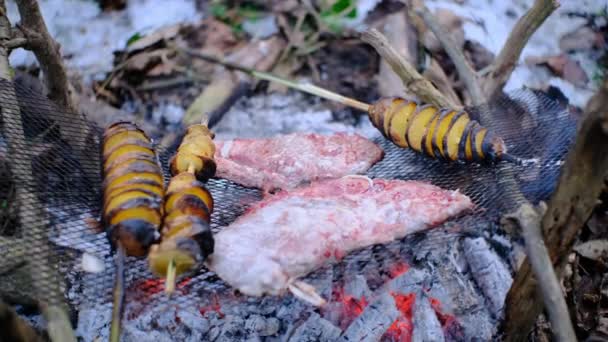 Fried Barbeque Meet Potato Coals Winter Forest — Stock videók
