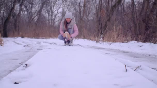 女性が森の雪道にビーグル子犬のためにボールを投げ — ストック動画