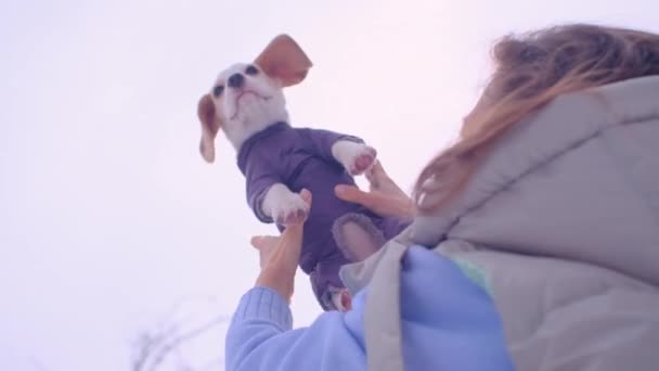 Menina Joga Até Pequeno Filhote Cachorro Beagle — Vídeo de Stock