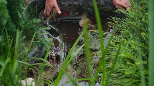 Unrecognizable Man Cleaning His Hands Garden Pond Tina Mud Fitness — 비디오