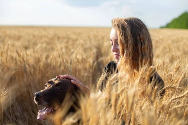 Mujer Joven Caucásica Con Perro Labrador Hierba Trigo Amarillo Alto — Foto de Stock