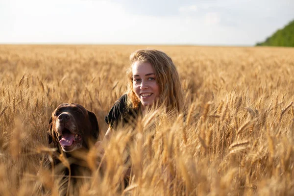 Kaukasische Jonge Vrouw Met Labrador Hond Hoge Gele Tarwe Gras — Stockfoto