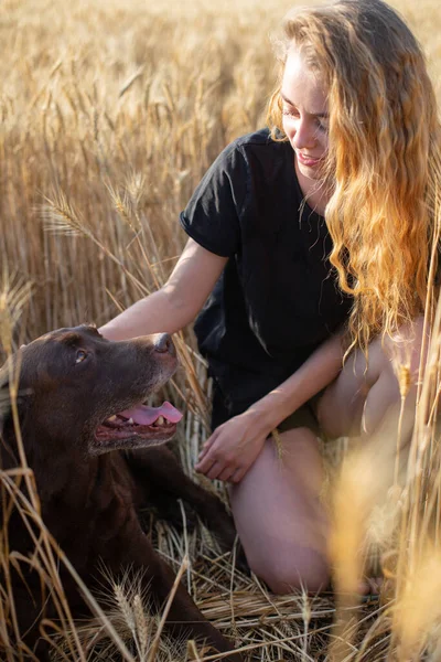 Mujer Joven Caucásica Con Perro Labrador Hierba Trigo Amarillo Alto — Foto de Stock
