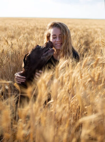 Mujer Joven Caucásica Con Perro Labrador Hierba Trigo Amarillo Alto — Foto de Stock