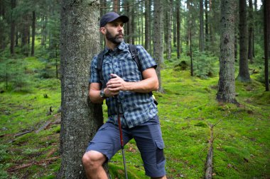 Yeşil bir dağ ormanında gezgin sakallı adam. Şapka, şort ve ekose gömlek giymişti. Sırt çantası ve yürüyüş sopalarıyla.