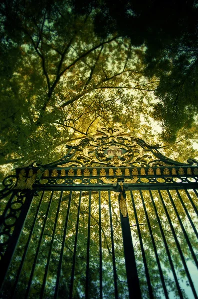 Portão dourado — Fotografia de Stock