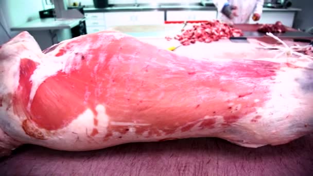 М'ясо заводу — стокове відео