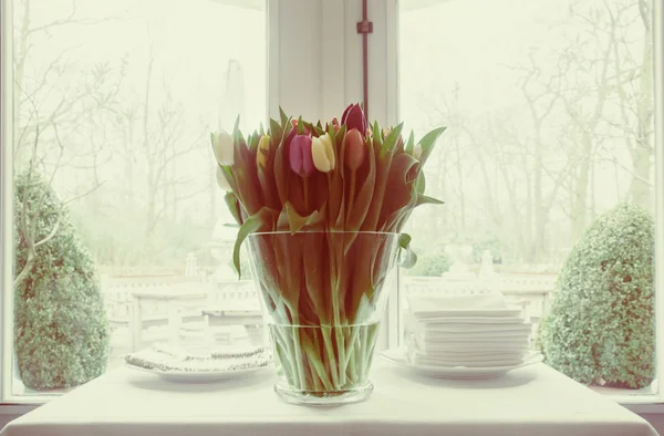 Holandské tulipány — Stock fotografie