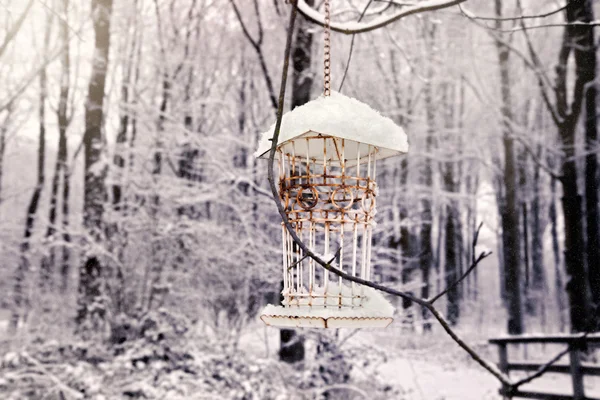 Winter vogel huisKış kuş evi — Stok fotoğraf