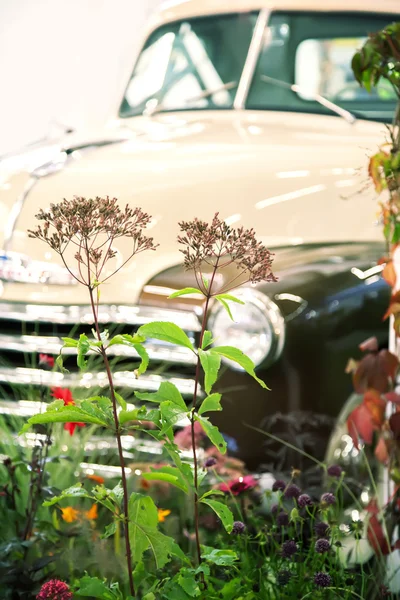 Retro car — Stock Photo, Image