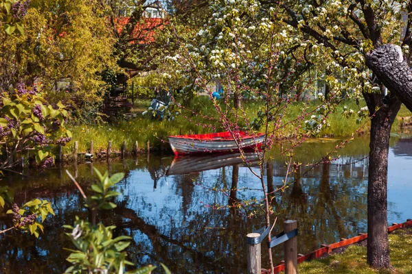 Hollandalı bahar — Stok fotoğraf