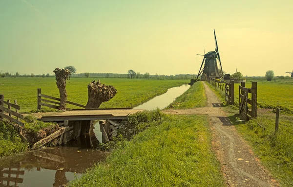 Dutch spring — Stock Photo, Image